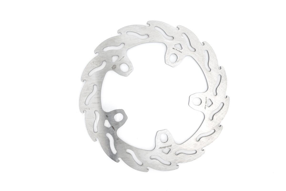 BRAKE DISC FLAME REAR