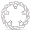 BRAKE DISC FLAME REAR