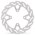BRAKE DISC FLAME REAR
