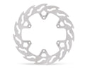BRAKE DISC FLAME REAR
