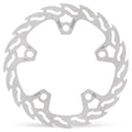 BRAKE DISC FLAME FRONT PAN AME