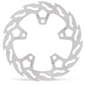 BRAKE DISC FLAME FIXED REAR CF