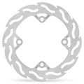 BRAKE DISC FLAME REAR