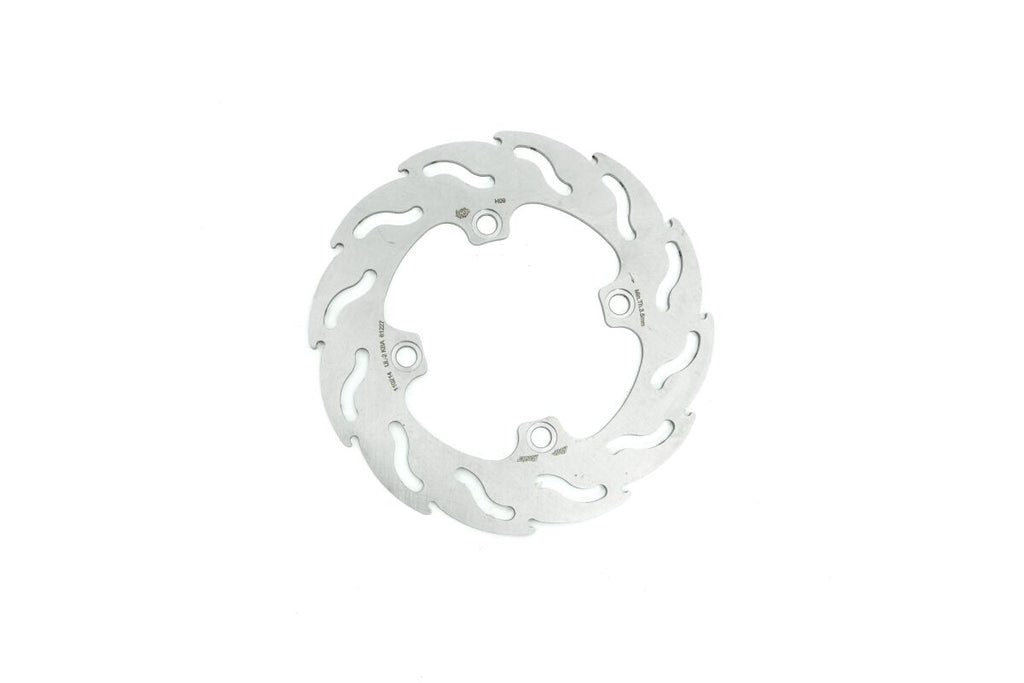 BRAKE DISC FLAME REAR