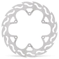 BRAKE DISC FLAME REAR