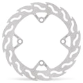 BRAKE DISC FLAME REAR