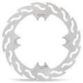 BRAKE DISC FLAME REAR