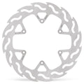 BRAKE DISC FLAME REAR