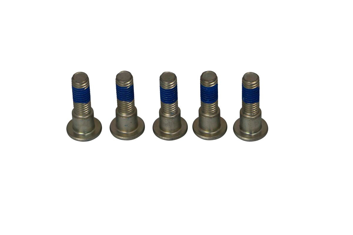BRAKE ROTOR BOLTS