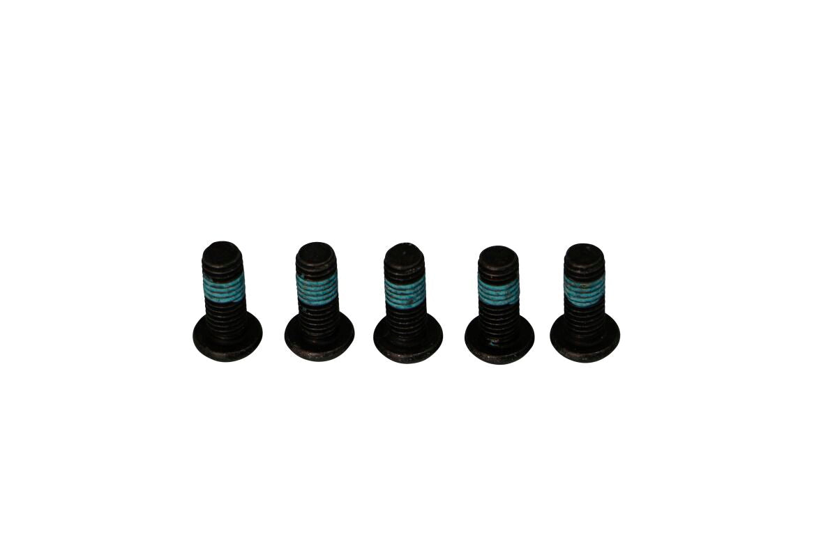 BRAKE ROTOR BOLTS