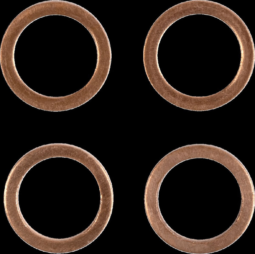 Stainless Steel Braided Brake