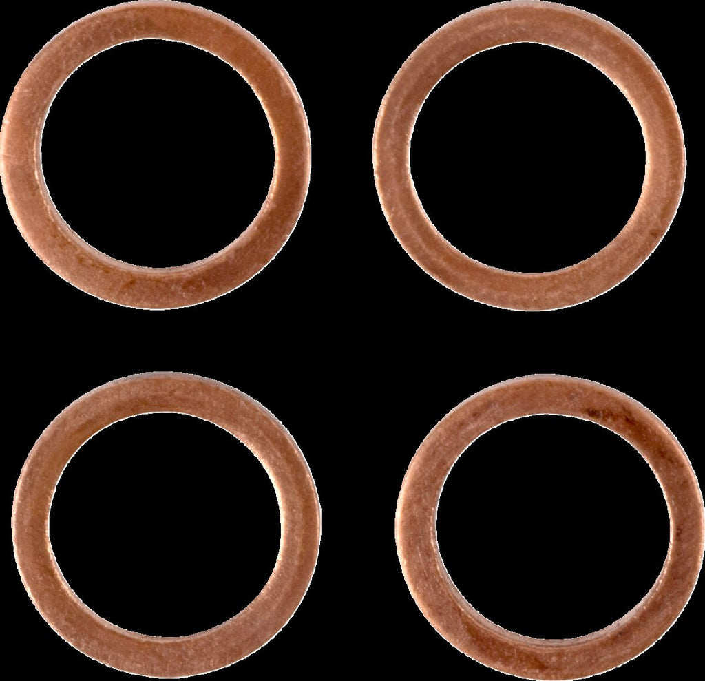 Stainless Steel Braided Brake