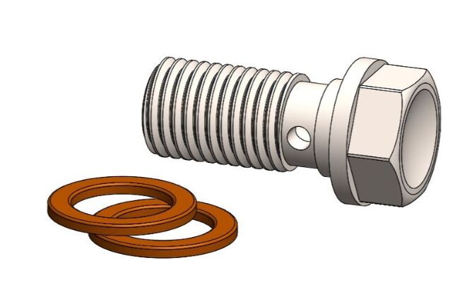 BANJO BOLT M8 X 1 00mm W 2 WAS