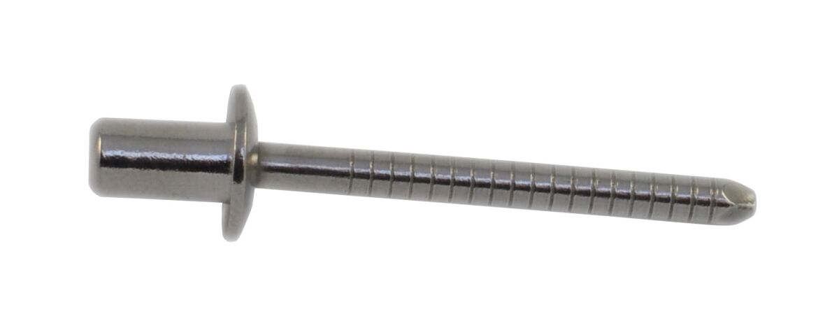 RIVET SS LONG D4 8x12 CLEAR