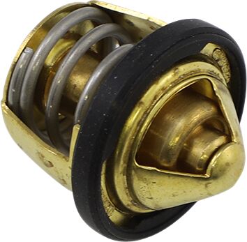 THERMOSTAT POLARIS