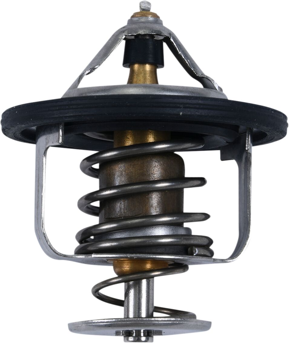 THERMOSTAT POLARIS