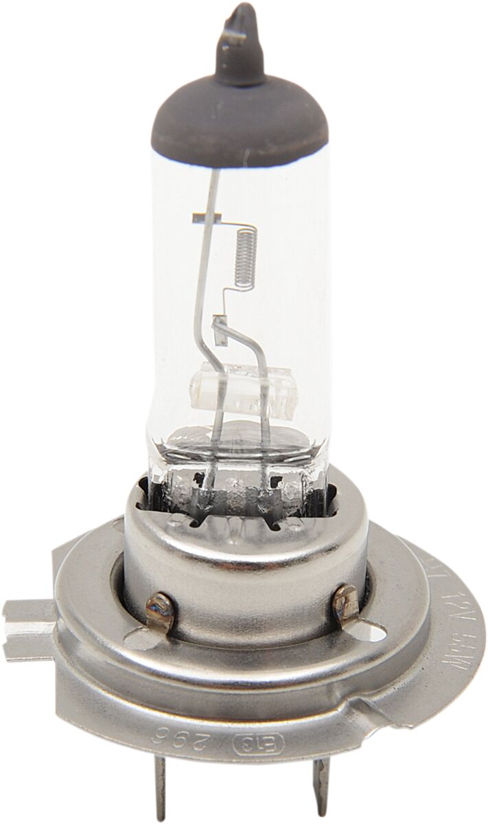 BULB H7 55W HALOGEN