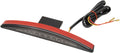 TAILLIGHT SMK FXSB 13-19
