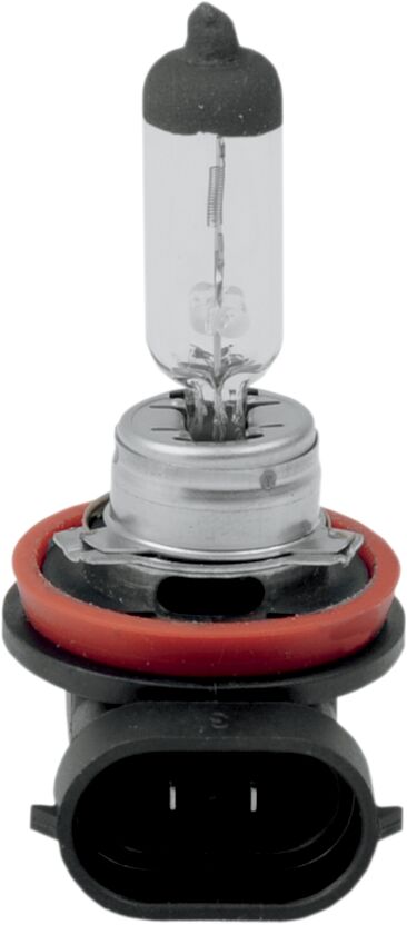 BULB H11 HALOGEN 55W LO ONLY
