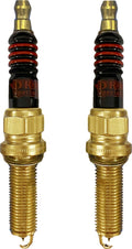 SPARK PLUGS CHALLENGER