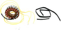 STATOR MUD CAN AM