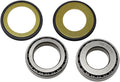 ALL BALLS STRG STEM BRGS