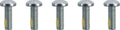 SCREWS F RTR 5/16-18TORX