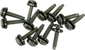 SCREW EFI MNT(1331) 12PK