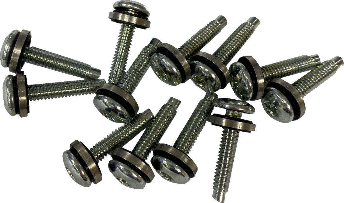 SCREW EFI MNT(1331) 12PK