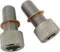 SCREWS W/WSHRS DMPR TB