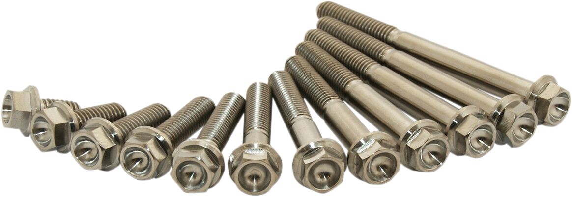 TITANIUM BOLT M6X25 PACK OF 2
