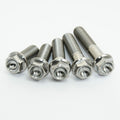 BOLT KIT ENGINE TITANIUM CRF45