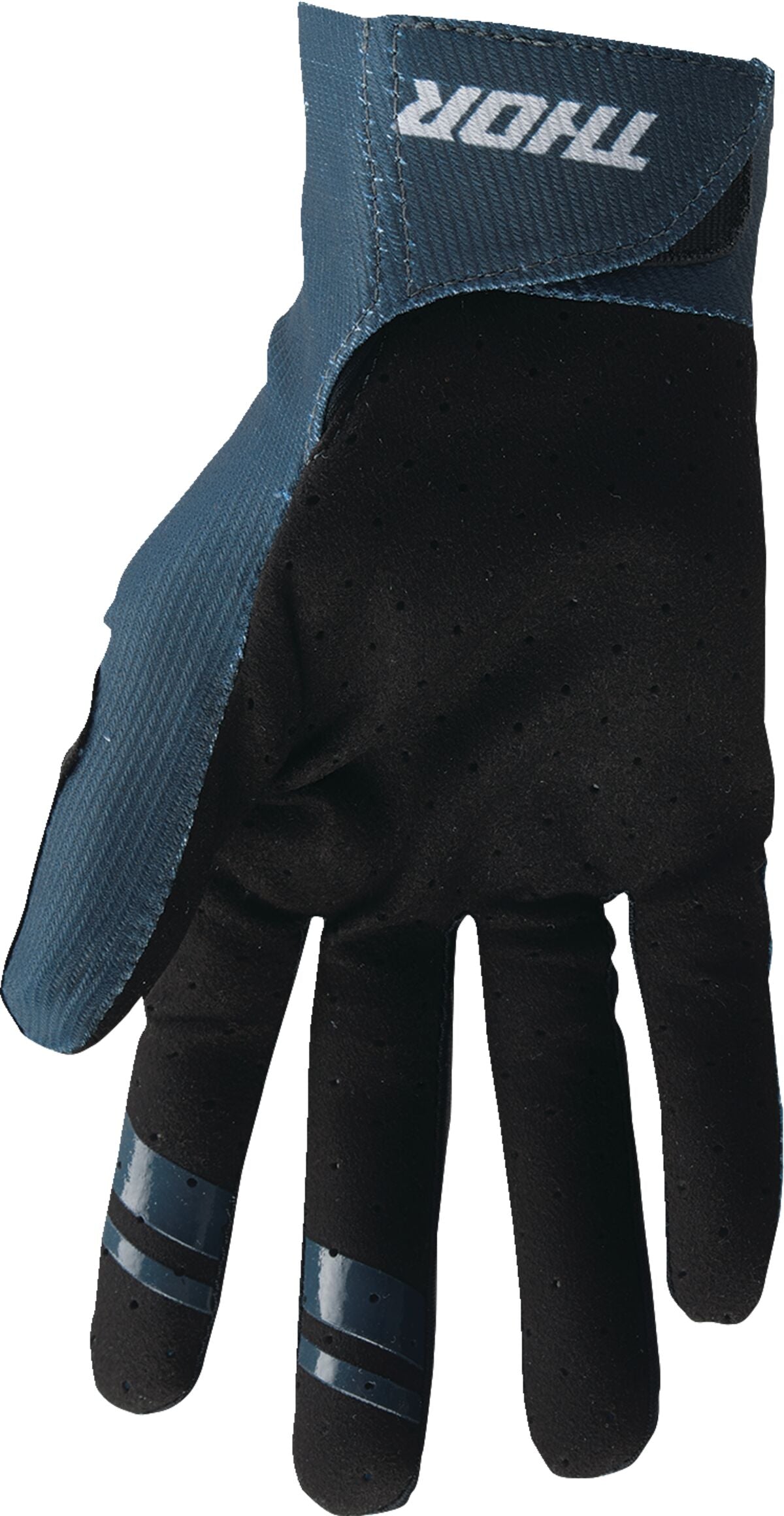 GLV INTENS CENSIS T/MN MD