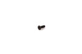 HINSO SPAREPARTS SCREW