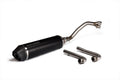MALOS MUFFLER WILD LION