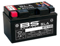 BSBAT BATTERY BTZ10S FA