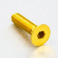 PROBO BOLT M5X0,8X20MM, GLD