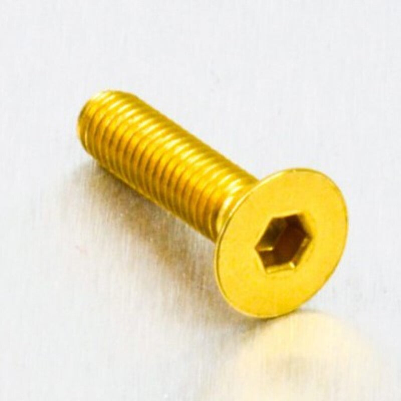 PROBO BOLT M5X0,8X20MM, GLD