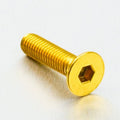 PROBO BOLT M6X1,00X25MM, GLD