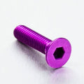 PROBO BOLT M6X1,00X25MM, PPL