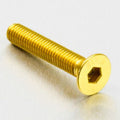 PROBO BOLT M6X1,00X35MM, GLD
