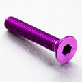 PROBO BOLT M6X1,00X35MM, PPL