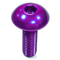 PROBO BOLT M5X0,8X16MM, PPL