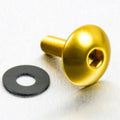 PROBO BOLT M5X0,8X16MM XL, GLD