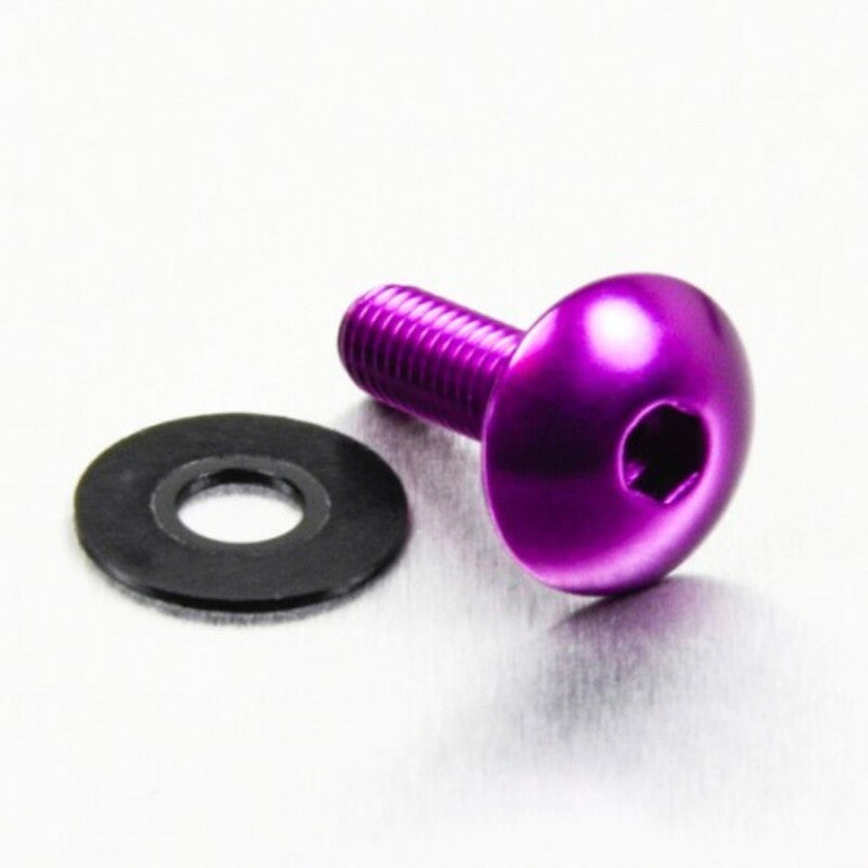 PROBO BOLT M6X1,00X20MM, PPL