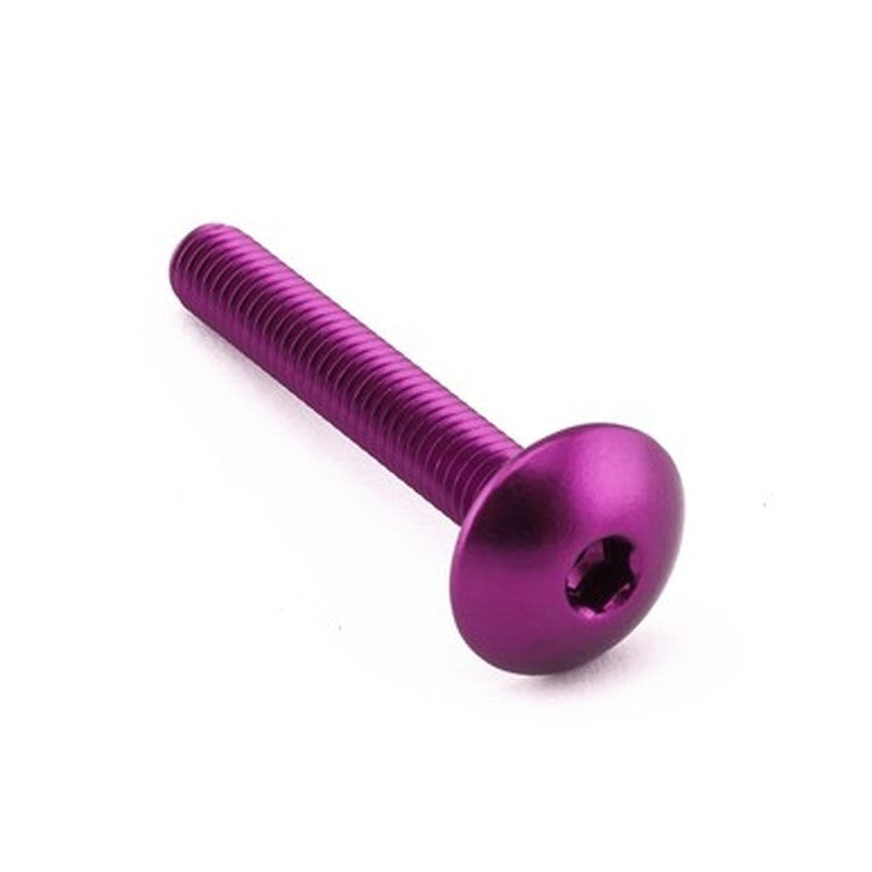 PROBO BOLT M6X1,00X40MM, PPL