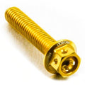 PROBO NUT RACE SPEC, GLD