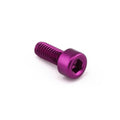 PROBO BOLT M4X0,7X10MM, PPL