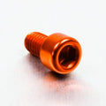 PROBO BOLT M6X1,00X10MM, GLD