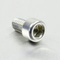 PROBO BOLT M6X1,00X10MM, SIL